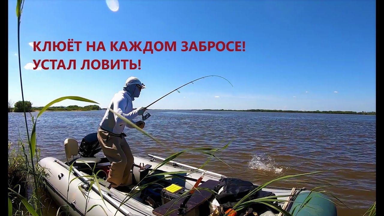 ПОКЛЁВКИ НА КАЖДОМ ЗАБРОСЕ! Устал ловить. Рыбалка на Амуре смотреть онлайн