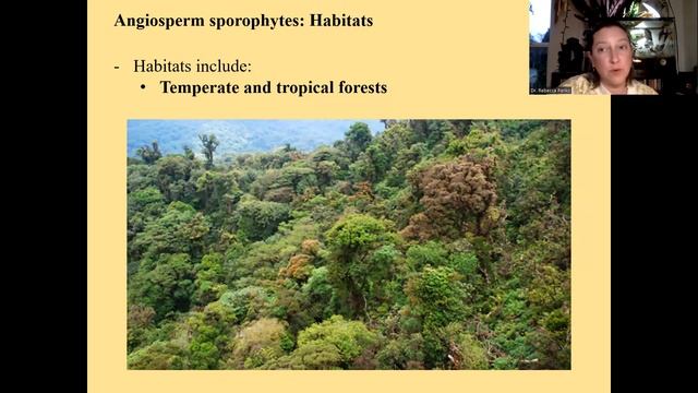 Plant Kingdom Lecture 18 (2022) смотреть онлайн