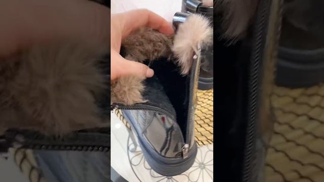 Короткие зимние сноубутсы с Aliexpress. Ссылка в описании. смотреть онлайн