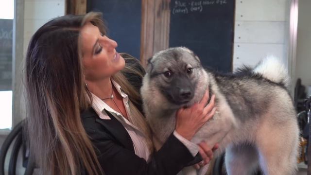 SurePayroll Time-Saving, Easy Payroll 15 sec смотреть онлайн