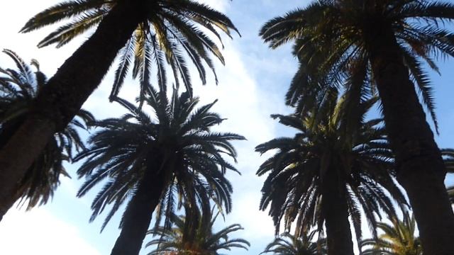 MOROCCO. CASABLANCA. PICTURESQUE CENTER OF THE CITY.6 КАСАБЛАНКА. КОЛОРИТНЫЙ ЦЕНТР ГОРОДА.6 смотреть онлайн