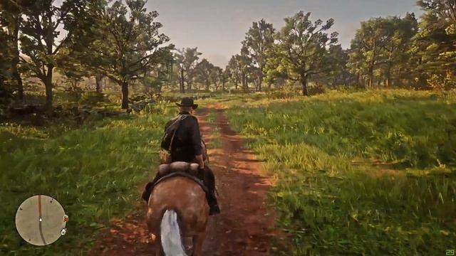 Red Dead Redemption 2 на Пк!!!Город и болото!!!Часть 17!!! смотреть онлайн