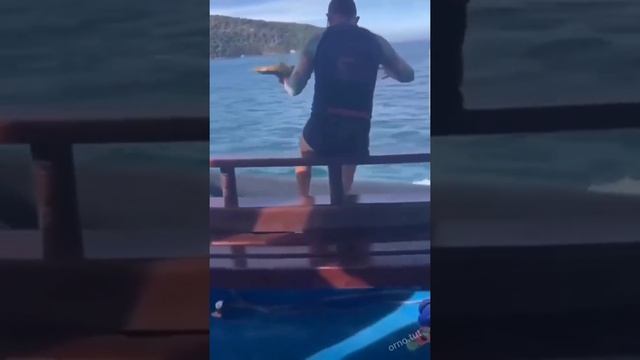 это фиаско смотреть онлайн