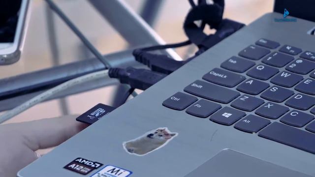 Tanita BC-601F con SD y Software смотреть онлайн