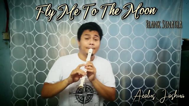 Fly Me To The Moon - Frank Sinatra (Recorder Cover) смотреть онлайн