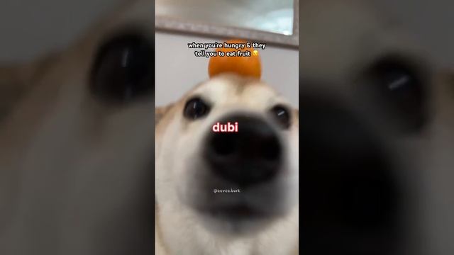 чипи чипи чапа чапа. смотреть онлайн