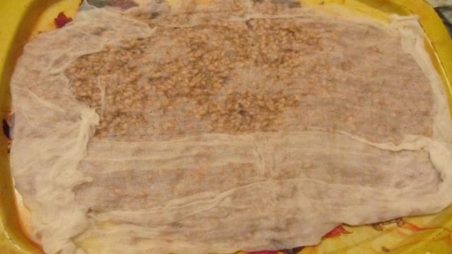 Сборник рецептов