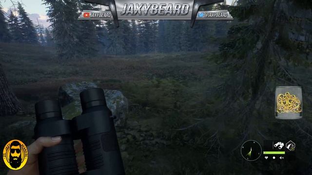 theHunter Call of the Wild "?DIAMOND ALLEY?" BOMB Stream! part 1 смотреть онлайн