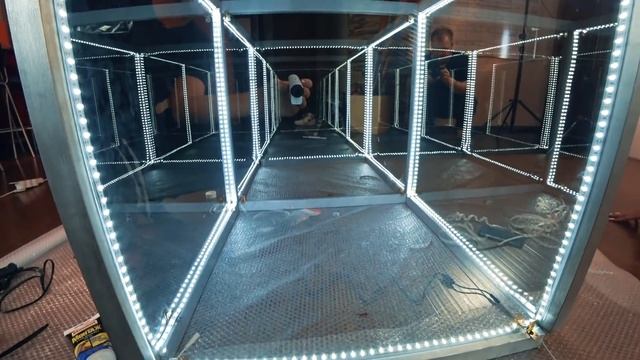 Это невероятно! ХАМЕЛЕОН в ЗЕРКАЛЬНОЙ комнате! Я в шоке! смотреть онлайн