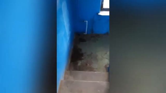 Разбитые стекла, грязь, облезлые стены: общежитие в Волжском находится в ужасном состоянии