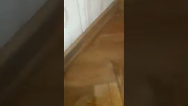 #FADA #антиплесень смотреть онлайн