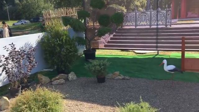 День цветов набережные челны!подготовка смотреть онлайн