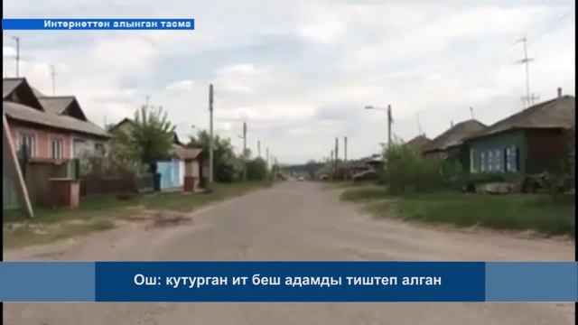 НАЗАР КЫР 07 11 2015 смотреть онлайн