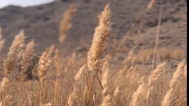 Как начался 2023 год Ви и Ры смотреть онлайн