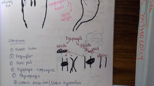 Review Of Symptoms Of Esophagus || Git