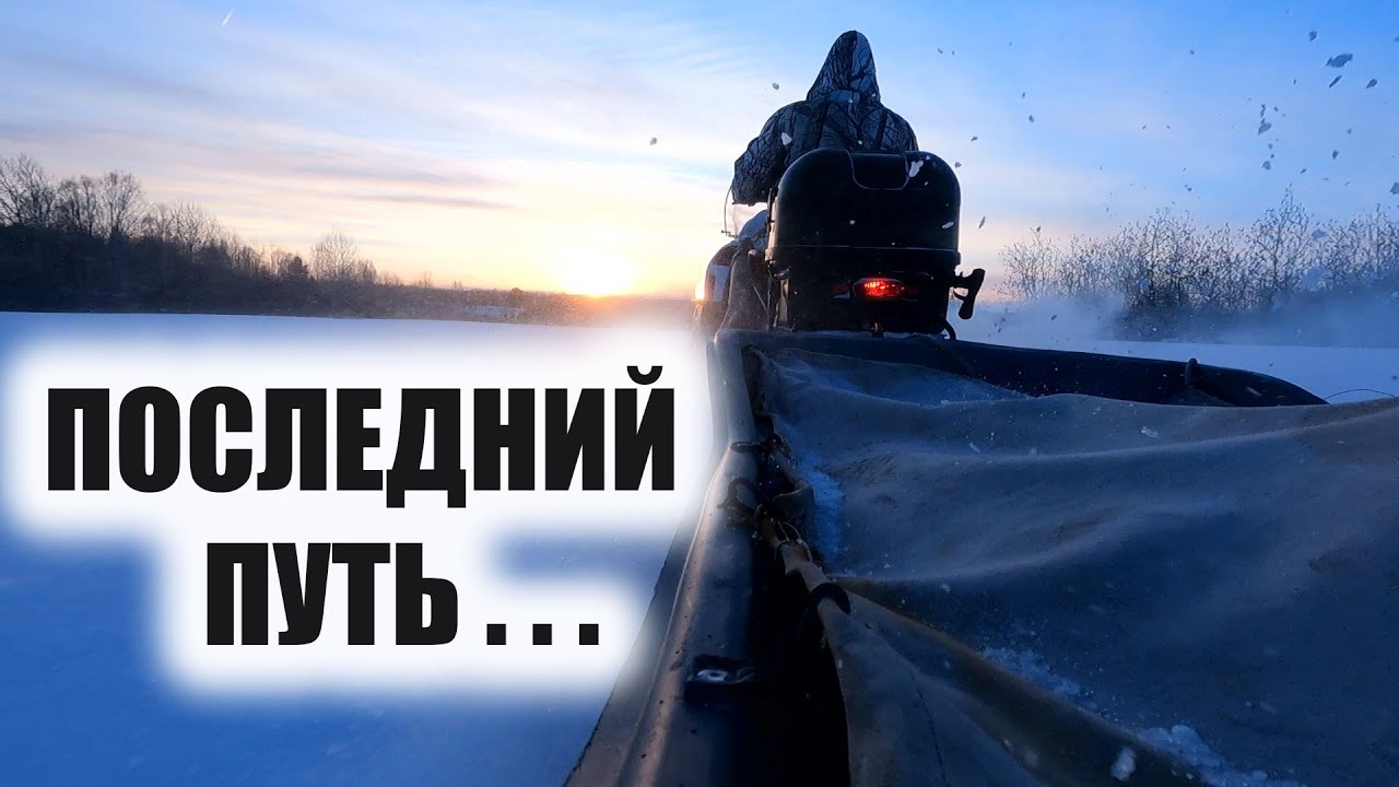 Самый худший день в лесу смотреть онлайн