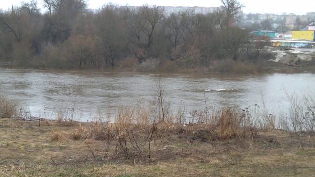 2023.03.29. Смоленск. Набережная. Разлив Днепра. Часть 001. смотреть онлайн