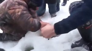 Ловля гигантского сазана зимой