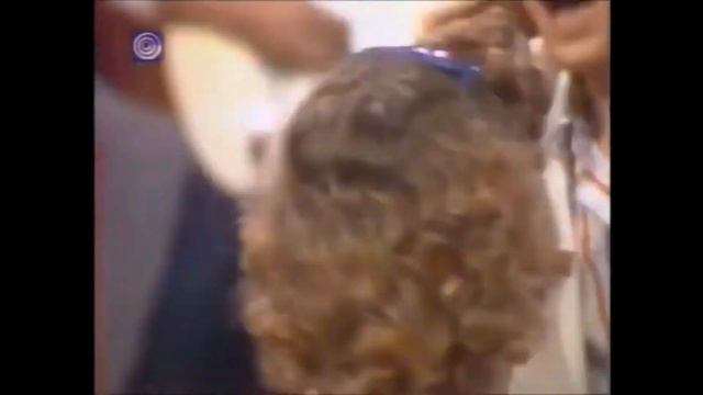 צביקה פיק/Svika Pick(10/10/2022) - 1970-1980 The Greatest poets Svika Composed смотреть онлайн