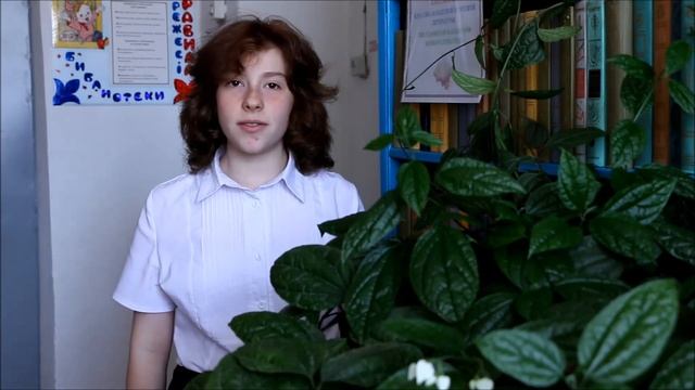 Морозова Ризалия КГУ Средняя школа №5 г.Риддер смотреть онлайн