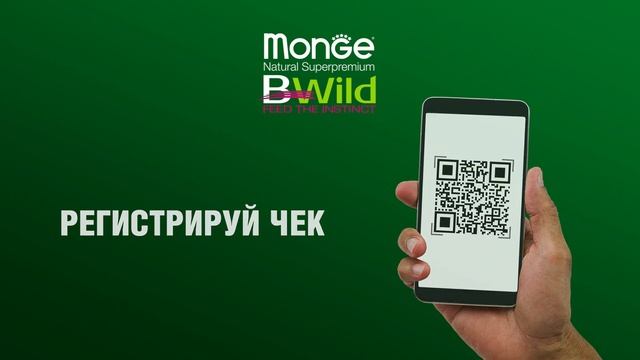 Monge BWild розыгрыш - анимированный ролик