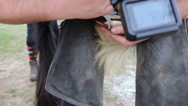 MASSIVE HOOVES! [HOOF RESTORATON] смотреть онлайн
