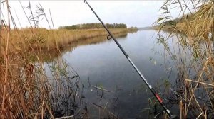 Ловим щуку осенью в Краснодарском крае +15С