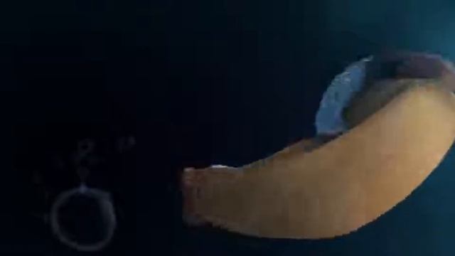 кароткая анимация : Лиса и мышь | By ESMA