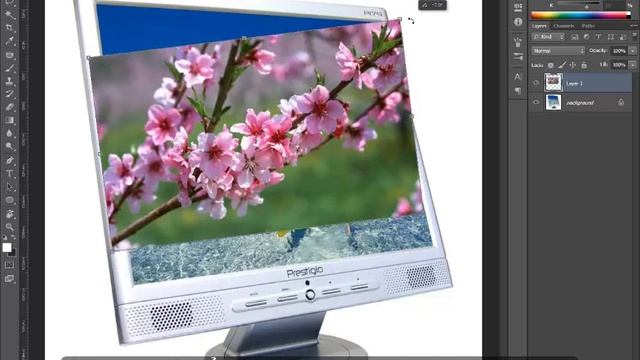Hướng dẫn Photoshop căn bản - Free Transform(Ctrl + T) смотреть онлайн