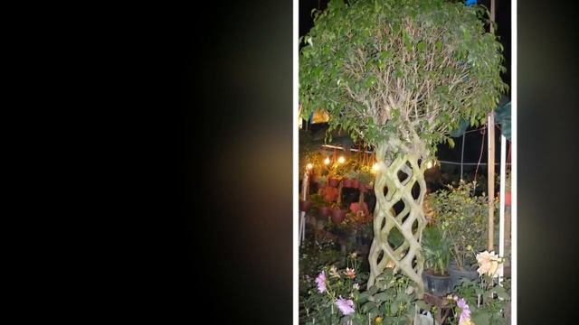 АРБОСКУЛЬПТУРА и ПОКТРЕ. Живые деревья, как материал для создания мебели и арт объектов смотреть онлайн