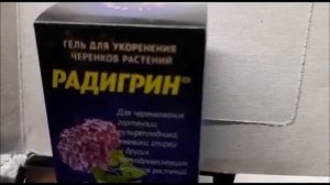 Средство  для эффективного  укоренения черенков любых растений