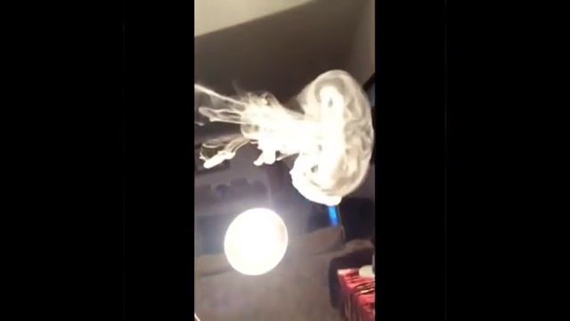 Медуза из дыма кальян, трюки и фокусы с дымом смотреть онлайн