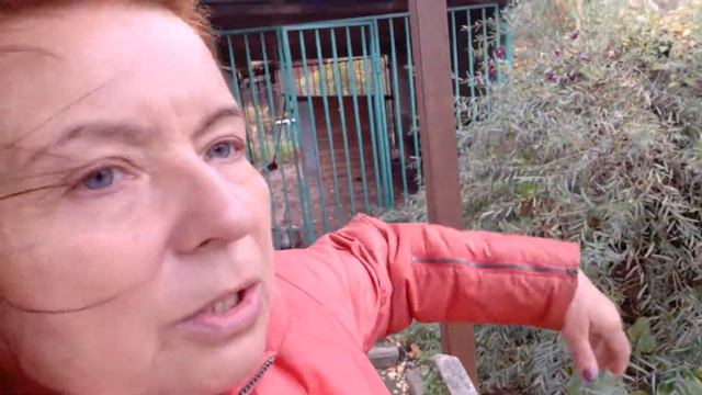 Тёплый воскресный денёк) ничего не хочется делать! смотреть онлайн