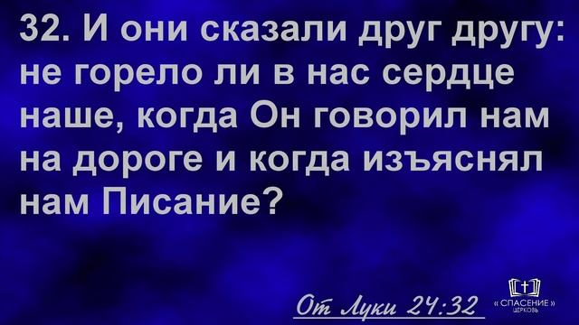 28 апреля 2019 (утро) / Праздник Пасхи / Церковь Спасение смотреть онлайн
