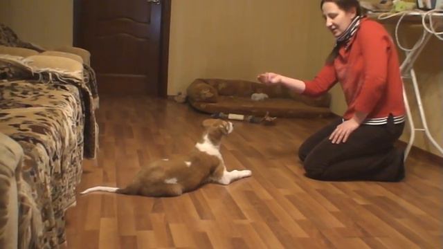 Кудряш 2 месяца смотреть онлайн