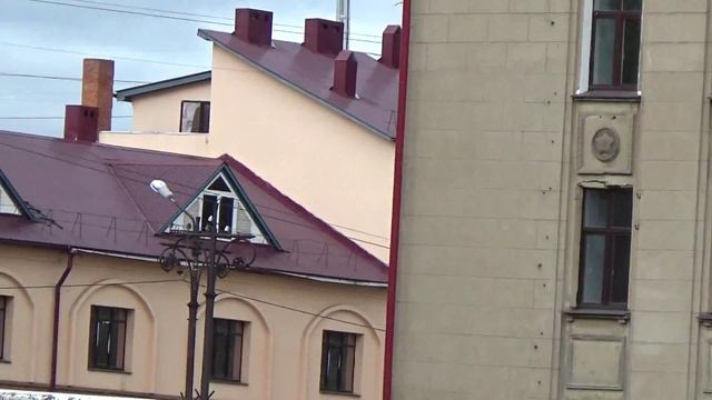 Выставка собак в Котласе 2015 г. ч. 1 смотреть онлайн