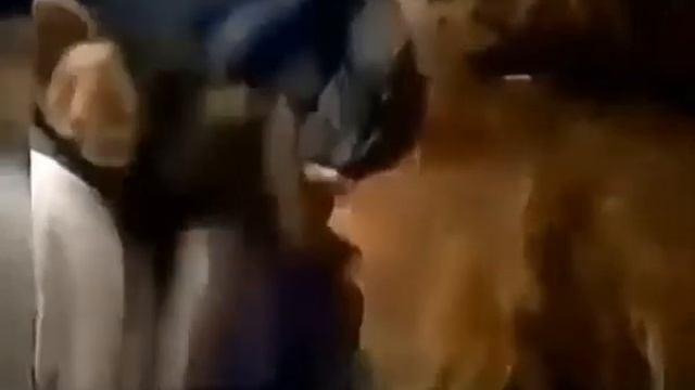 Вот какие обезьяны бывают??? смотреть онлайн