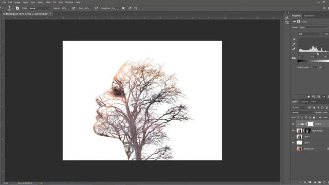 Model and Tree Double Exposure - Photoshop Manipulation Tutorial смотреть онлайн