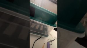 Китайский инкубатор с Ozon