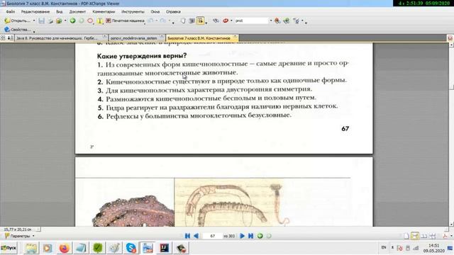 биология 8 класс константинов 4 5 глава смотреть онлайн