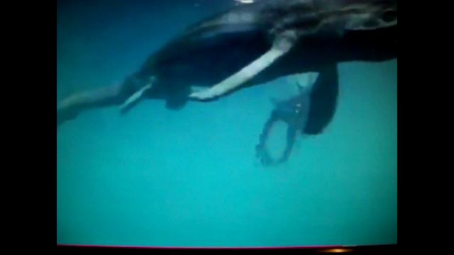 Найджел Марвин-Озорной гуляка