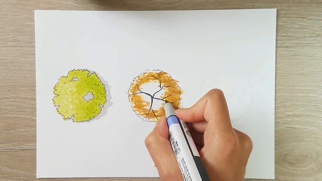 Drawing Trees Top View ?? for Architectural Sketches with Markers смотреть онлайн