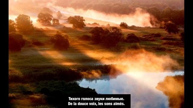 Д. Хворостовский УТРО ТУМАННОЕ / D. Hvorostovsky MATIN BRUMEUX / chanson russe sous-titres français смотреть онлайн