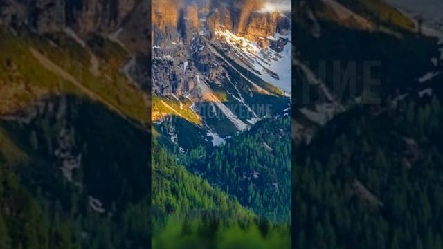 Она заметила, что его родственники смотрят на не с улыбочками #shorts смотреть онлайн