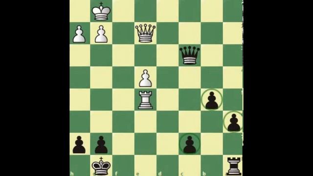 Destroy the Spanish Opening with the Schliemann Gambit (part 5) The d3 game with Nc3 смотреть онлайн