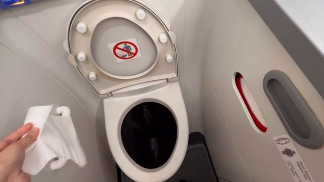 How To Use Toilet In Flight?| Flight me toilet kaise use krein | Megha Abrol #lavatory #inflight смотреть онлайн