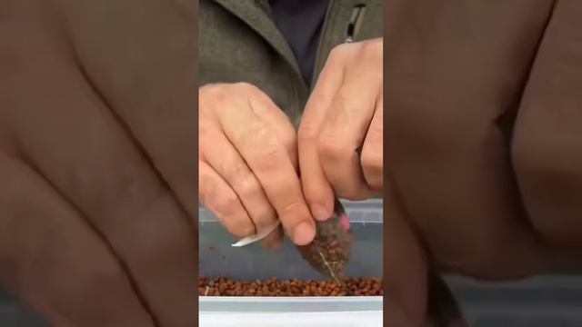 Як робити ПВА пакет смотреть онлайн