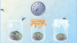 Опыт Франческо Реди. Опровержение теории самозарождения. ЕГЭ, ОГЭ по биологии.