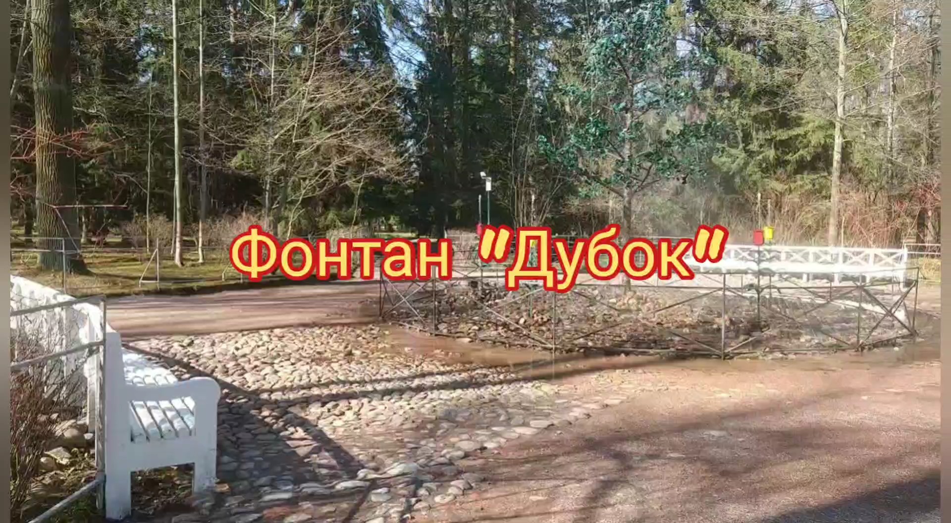 Фонтан "Дубок" ,ГМЗ Петергоф