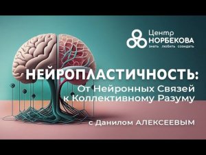 Открытый вебинар с Данилом Алексеевым Нейропластичность: От Нейронных Связей к Коллективному Разуму